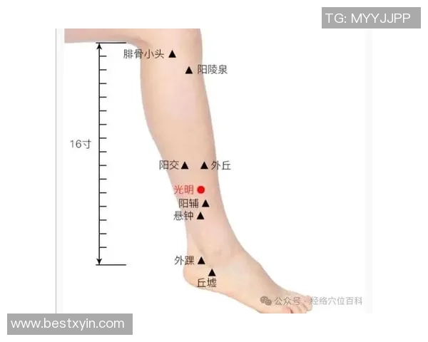 踢足球大腿的技巧与训练方法解析助你成为场上明星球员