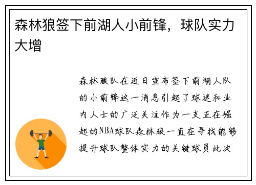 森林狼签下前湖人小前锋，球队实力大增