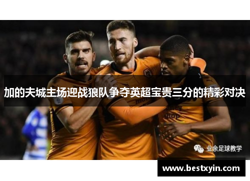 加的夫城主场迎战狼队争夺英超宝贵三分的精彩对决